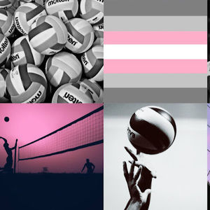 Meet your Posher, Abigail